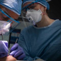 Smile Investments: Why Prioritizing Dental Health Is Key During Dental Implants In Sydney